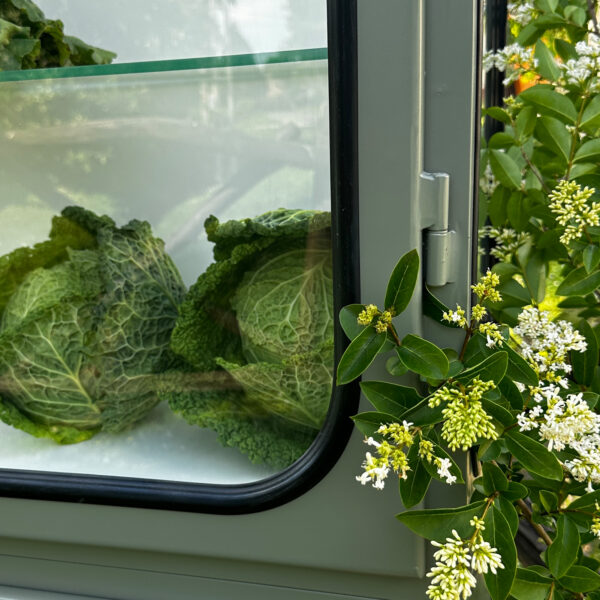 Green-submarine Vitrin